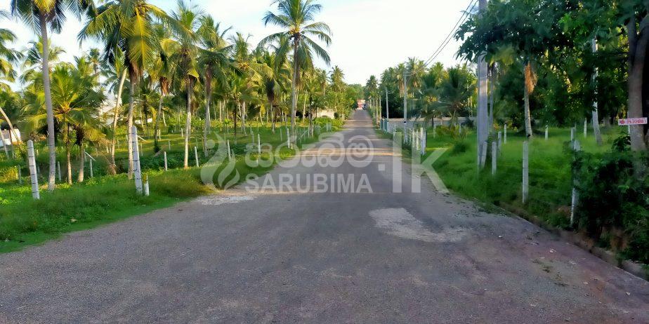 Land for Sale in Pasyala near to Kandy Colombo Road - Sarubima