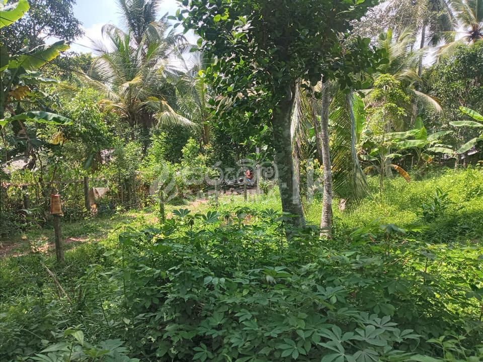 181866471_109862194605823_3175132085174505113_n