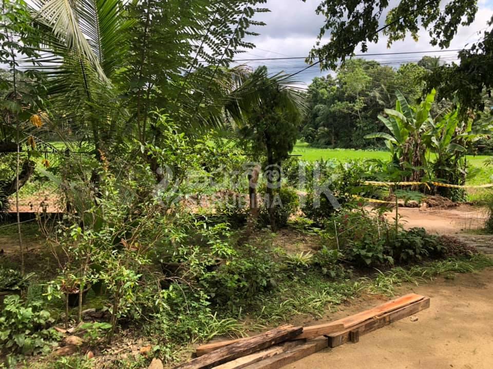 182006462_109750541283655_1914561407759919857_n