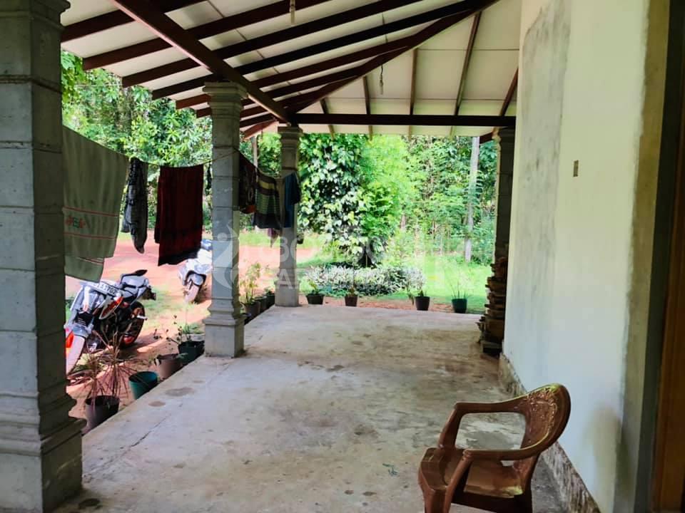 Brand New House For Sale with Coconut Land at Gampaha Sarubima