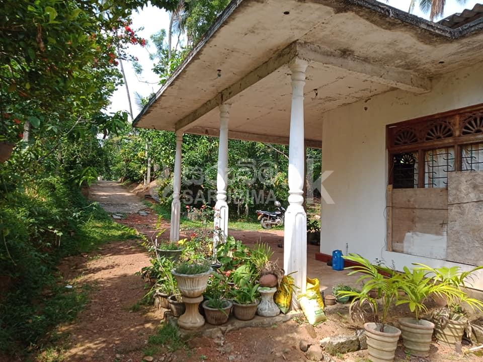 182389205_109762301282479_1829427567674015910_n