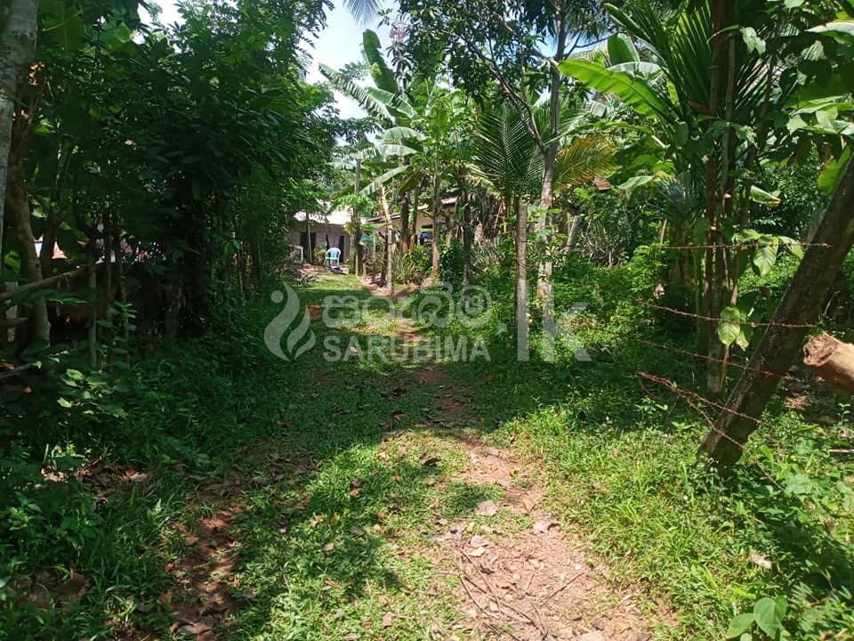 182692736_109862177939158_3959920109987316191_n