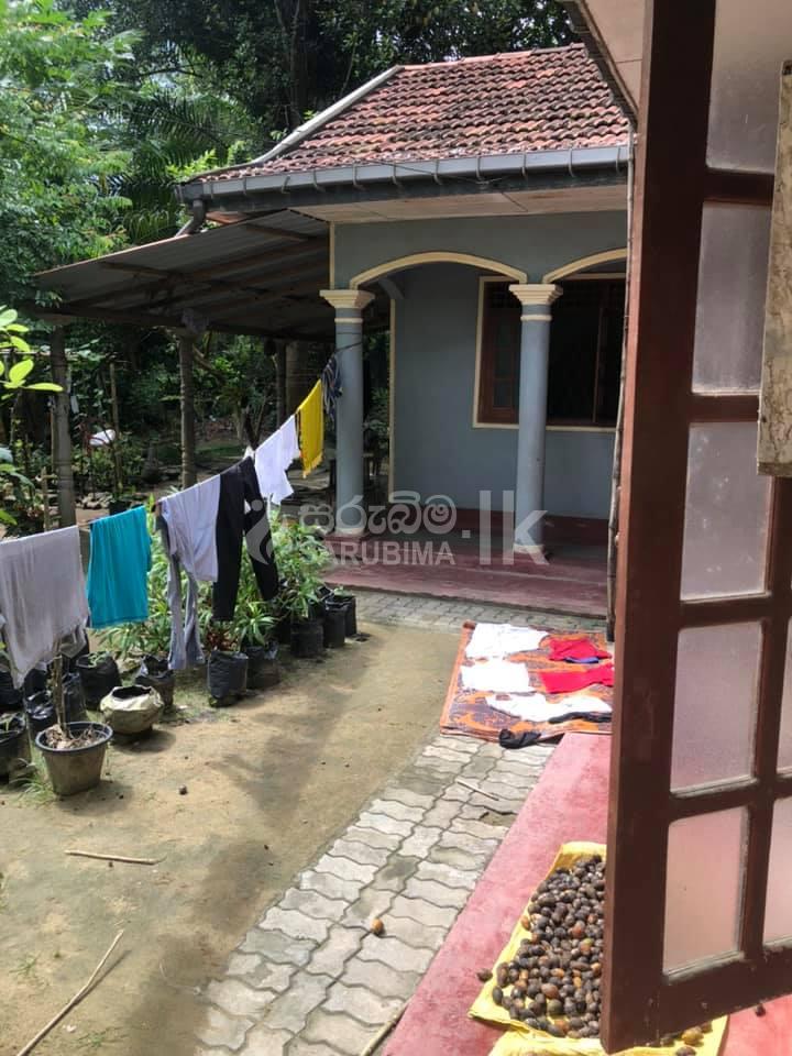 183009294_109750477950328_8264160592059258829_n