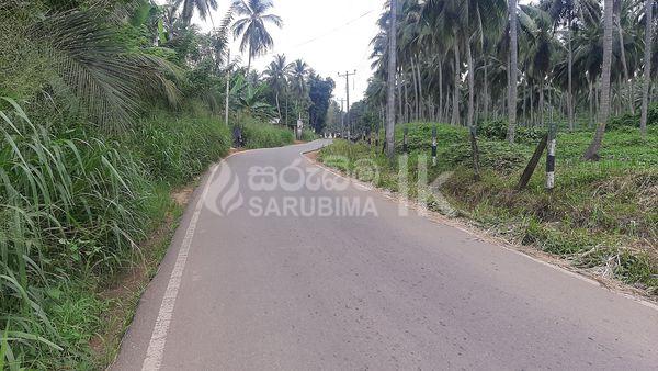 183094994_109870147938361_7051238354524272525_n