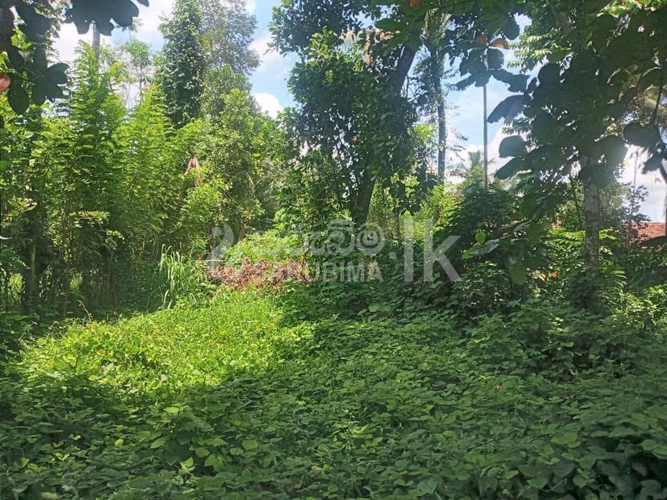 183144546_109868817938494_8432600939663208764_n