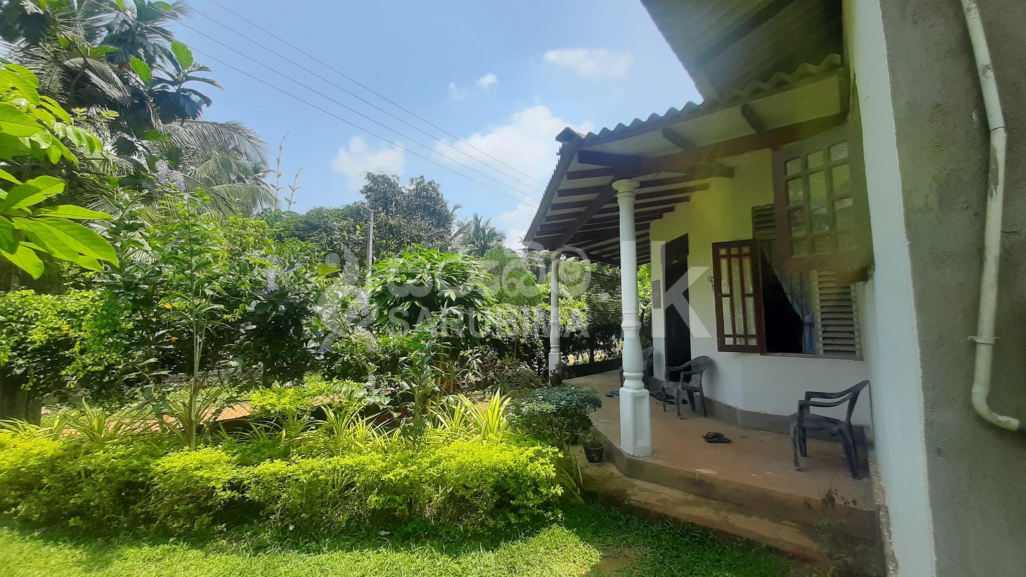 183852113_110198834572159_2033800667153571410_n