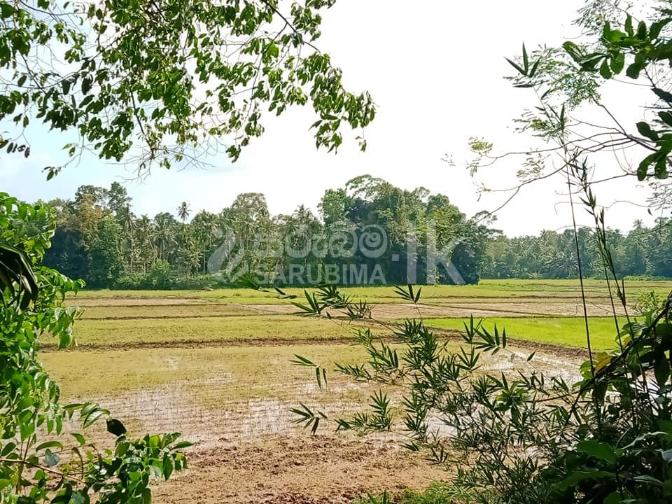 184516991_109762024615840_1381583867007899544_n