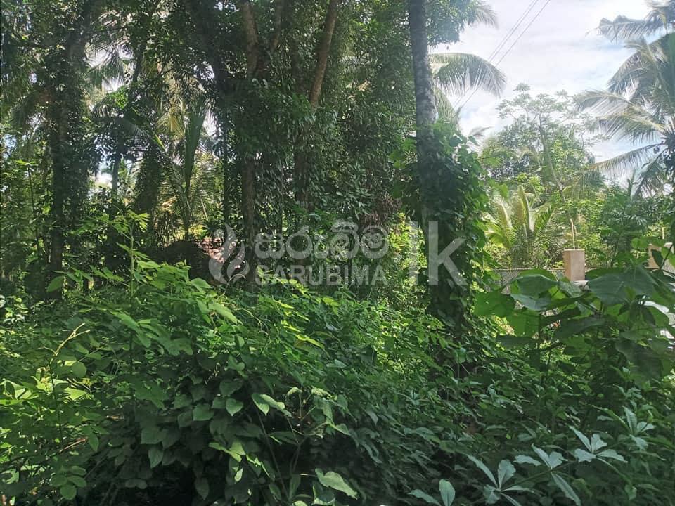 184621685_109868791271830_5387951084811038281_n