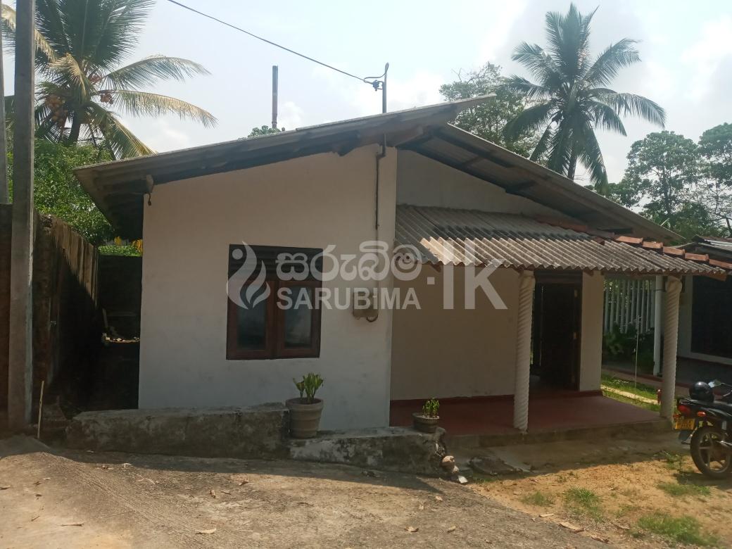 184668916_109911807934195_3144217353549216587_n