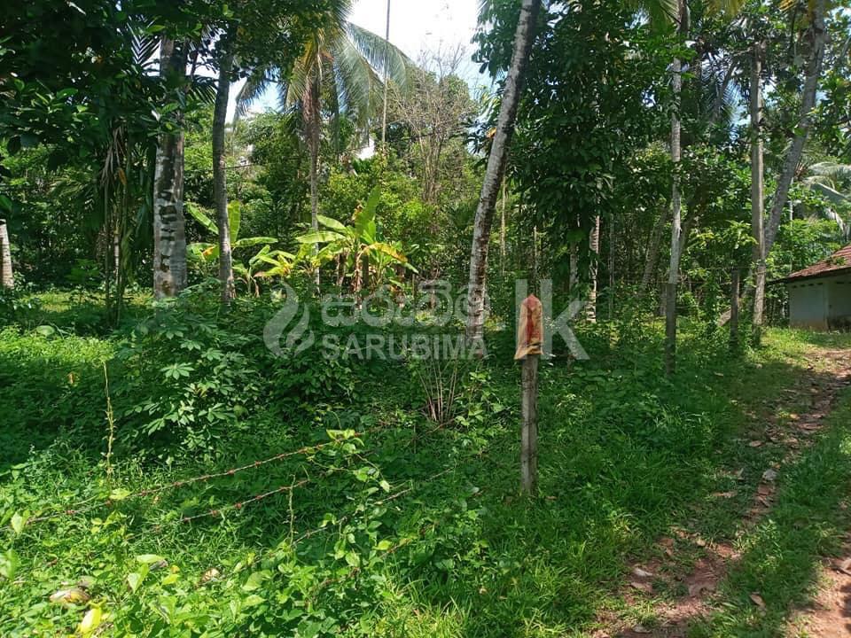 184774471_109862201272489_6457138367000821389_n