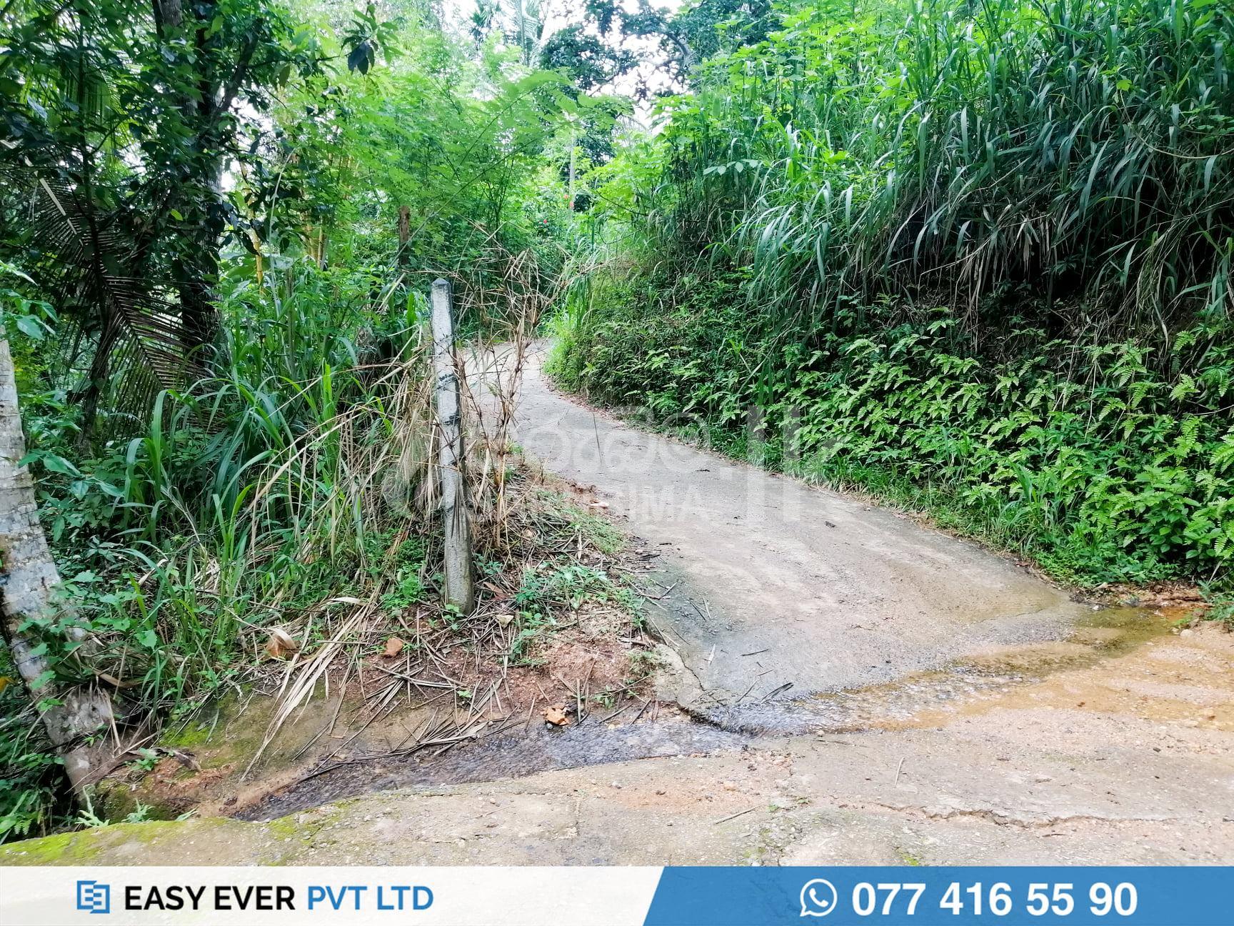 201814497_131266292465413_1952251703879494361_n